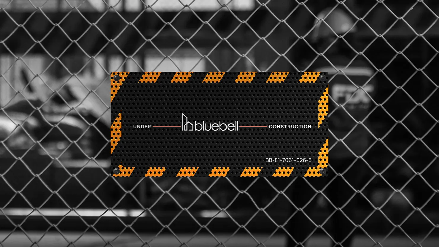 Bluebell, image 5