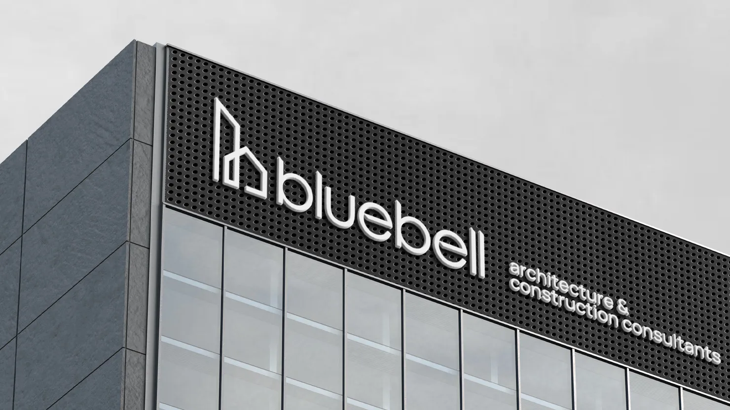 Bluebell, image 4