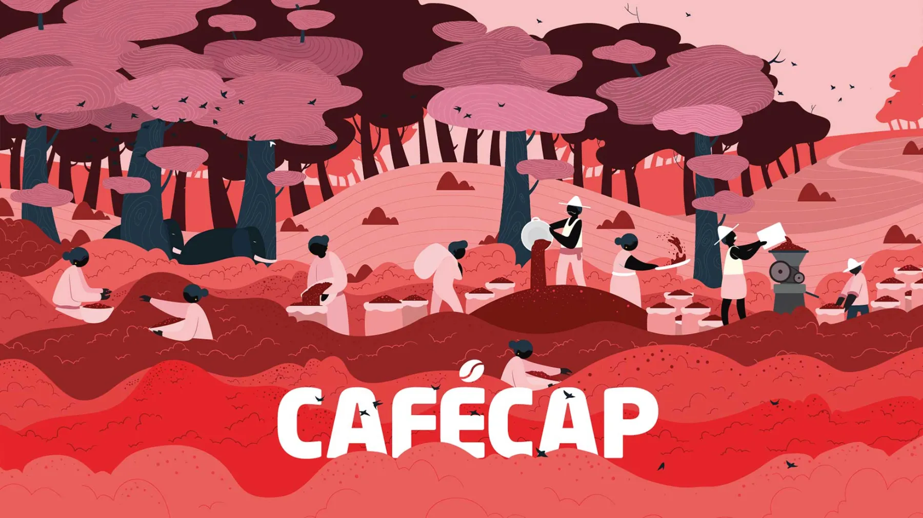 Cafecap, image 1
