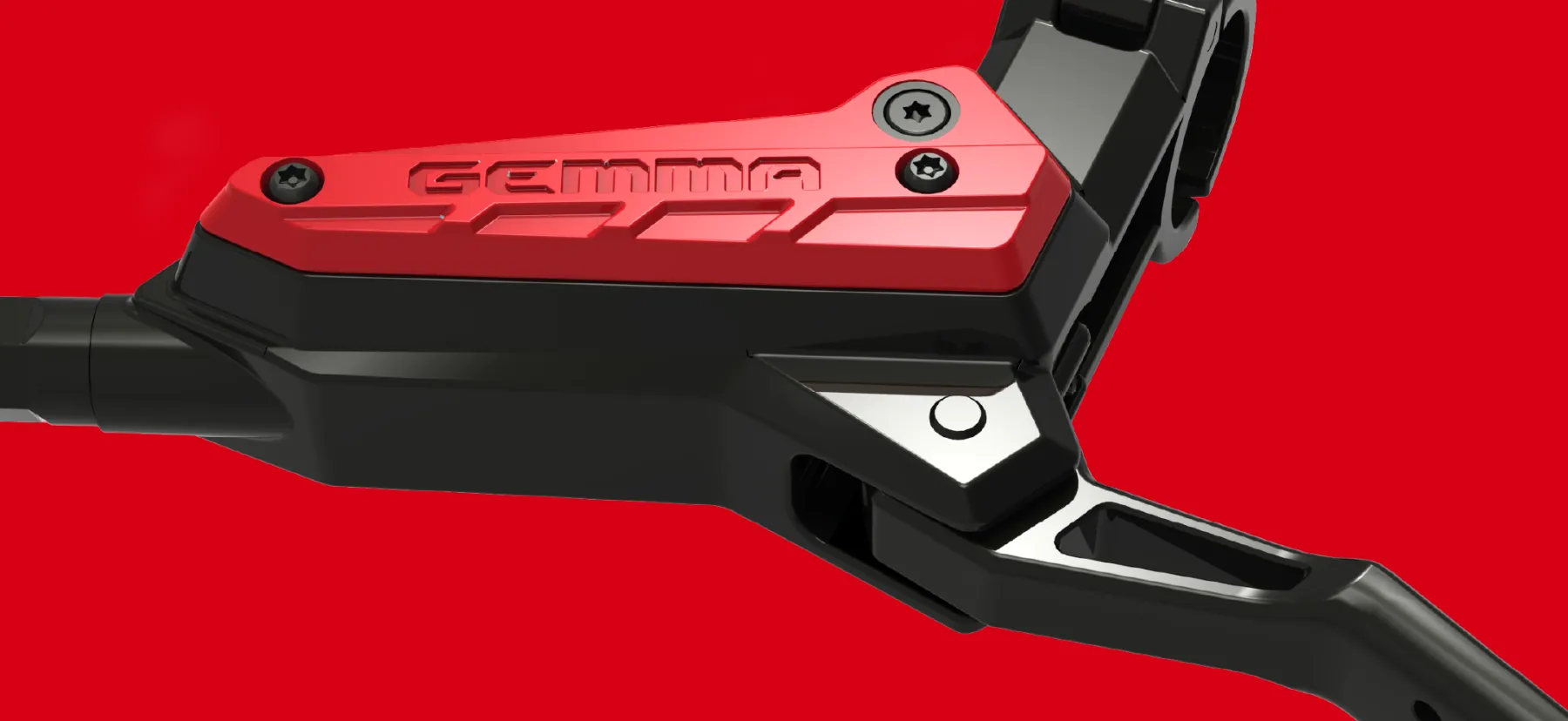 GEMMA, image 4